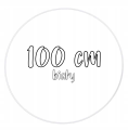 100.png