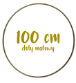 100.png