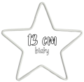 gwiazdka 13.png